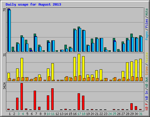 Daily usage for August 2013