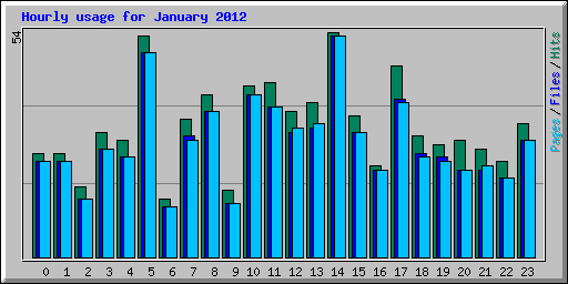 Hourly usage for January 2012
