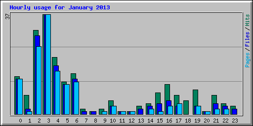 Hourly usage for January 2013