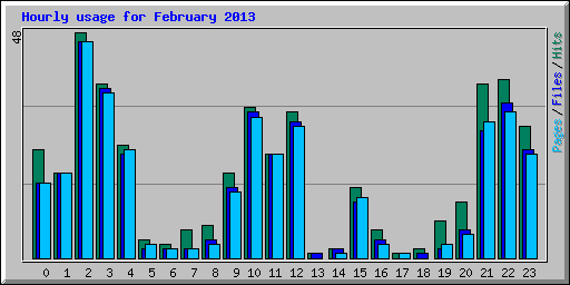 Hourly usage for February 2013