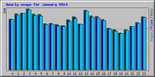 Hourly usage for January 2014