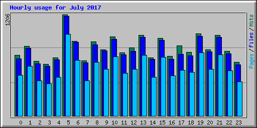Hourly usage for July 2017