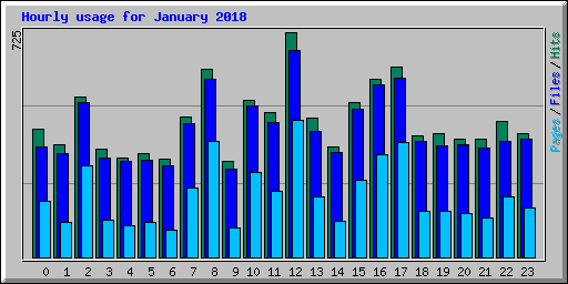 Hourly usage for January 2018