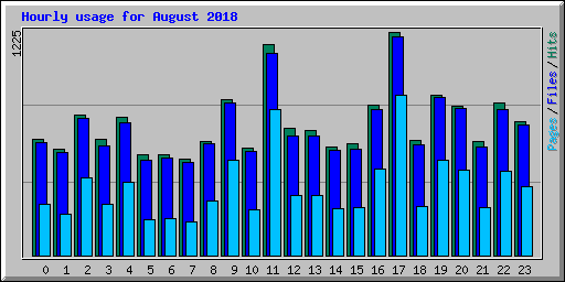 Hourly usage for August 2018